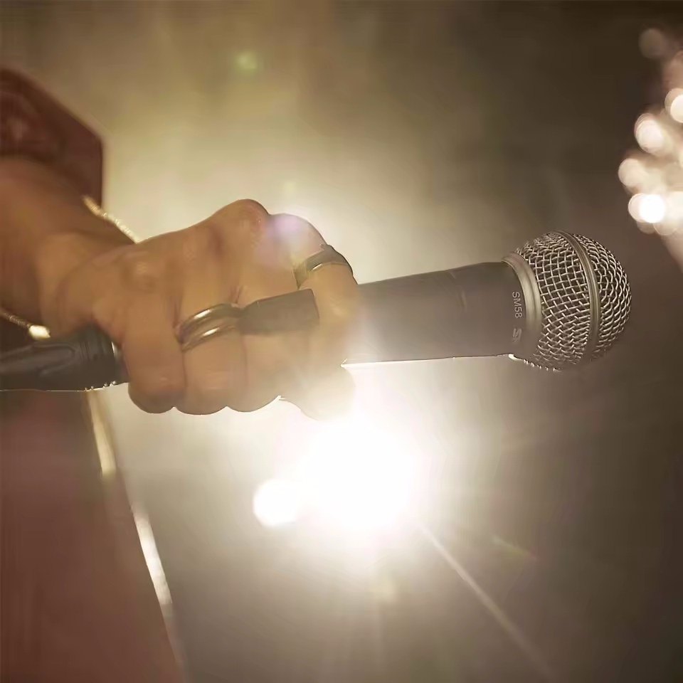 Karaoke Dinamik Mikrofon Profe - Shure Mic Sm58 incelemesi ve fiyatı
